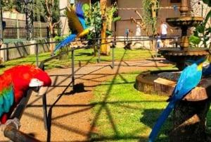 Verken de watervallen, het vogelpark en de safari in Macuco