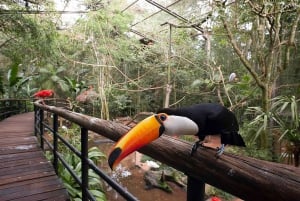 Verken de watervallen, het vogelpark en de safari in Macuco