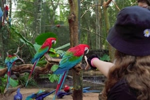 Verken de watervallen, het vogelpark en de safari in Macuco