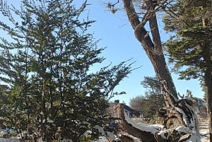 PARCO NAZIONALE DELLA TERRA DEL FUOCO E TRENO DELLA FINE DEL MONDO