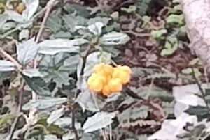 PARCO NAZIONALE DELLA TERRA DEL FUOCO E TRENO DELLA FINE DEL MONDO