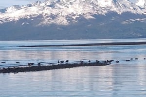 PARCO NAZIONALE DELLA TERRA DEL FUOCO E TRENO DELLA FINE DEL MONDO