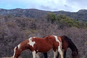 PARCO NAZIONALE DELLA TERRA DEL FUOCO E TRENO DELLA FINE DEL MONDO