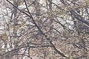 PARCO NAZIONALE DELLA TERRA DEL FUOCO E TRENO DELLA FINE DEL MONDO