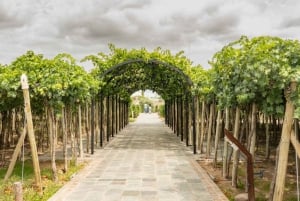 Esplorare El Enemigo e Casa Vigil / Incontrare l'icona del vino di Mendoza