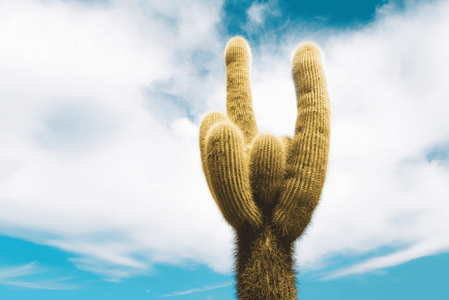 Flavors of Altitude, experience Cachi and Hornocal in 2 days