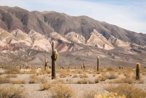 Flavors of Altitude, experience Cachi and Hornocal in 2 days