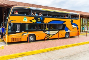 Foz do Iguaçu: Bird Park Experience