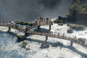 Foz do Iguaçu: Brazilian Side of Iguaçu Falls and Movie Cars