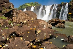Foz do Iguaçu: Die brasilianische Seite der Fälle