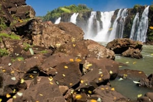 Foz de Iguazú: El lado brasileño de las cataratas