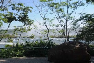 Foz do Iguaçu: Day Tour of the Argentina and Brazil Sides
