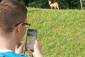 PRIVATE TOUR: Brasilianische und argentinische Seite an 1 Tag + Bootstour-Option