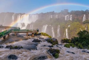 Foz do Iguaçu: Transfer z/na lotnisko