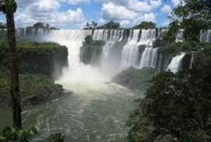 Från Argentina: Iguazu Falls Brazil Side & Itaipu Dam