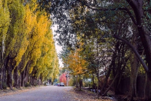 Depuis Bariloche : Circuit Chico et Colonia Suiza