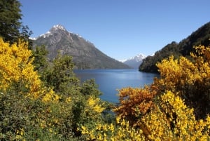 Fra Bariloche: Halvdagstur til Circuito Chico med sightseeing