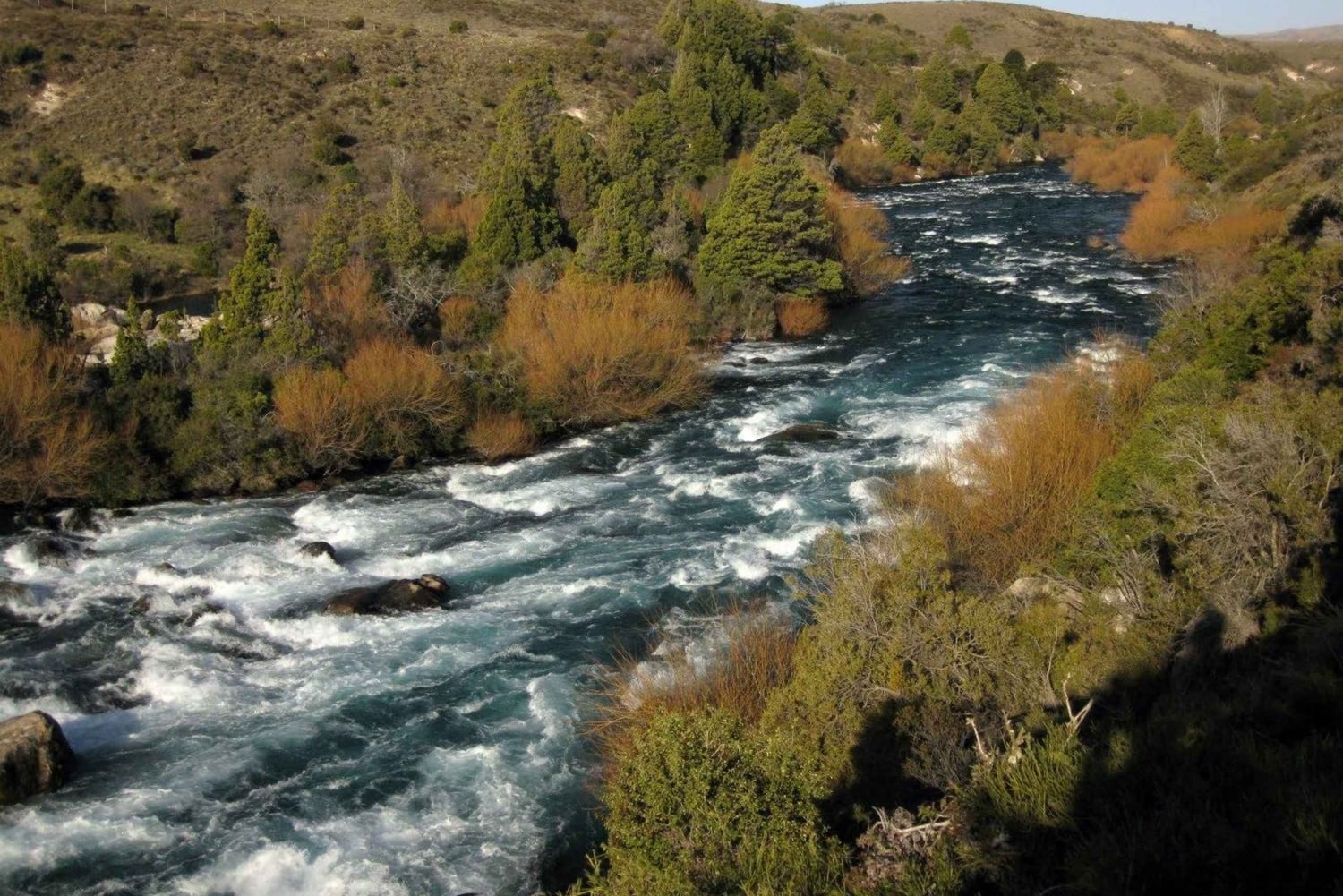 From Bariloche: San Martin de los Andes and 7 Lakes Circuit