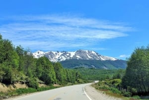Fra Bariloche: San Martin de los Andes og 7 Lakes Circuit