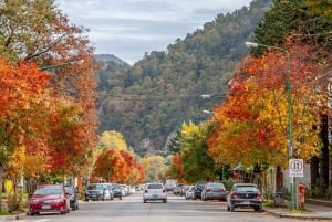 From Bariloche: San Martin de los Andes and 7 Lakes Circuit