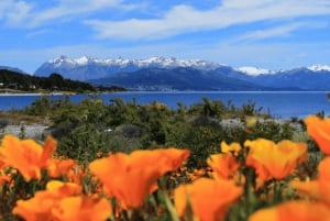 FRA BARILOCHE: SAN MARTIN DE LOS ANDES VED 7 SØER