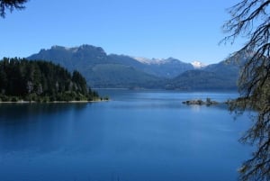 Da Bariloche: Isola di Victoria e escursione in barca nella Foresta del Mirto
