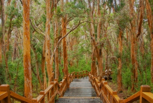 Från Bariloche: Båttur till Victoria Island och Myrtle Forest
