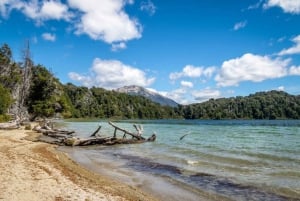 Från Bariloche: Victoria Island och skogstur i Arrayanes