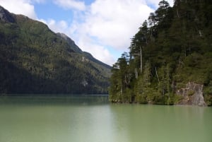 Desde Bariloche: Excursión a la Isla Victoria y al Bosque de Arrayanes
