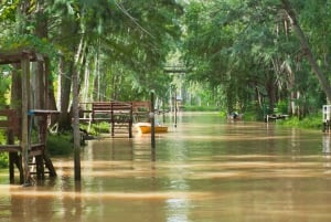Från Buenos Aires: Båttur till Tigre med Puerto de Frutos