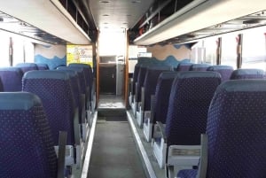 Från Buenos Aires: Båttur till Tigre med Puerto de Frutos