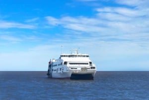 Desde Buenos Aires: Billetes de ferry a Colonia y excursión opcional