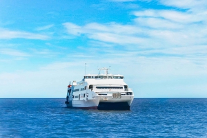 From Buenos Aires: Colonia Ferry Tickets and Optional Tour