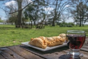 Från Buenos Aires: El Ombú de Areco med transfer