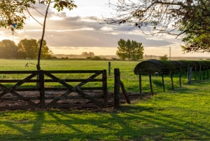 Desde Buenos Aires: El Ombú de Areco con traslado