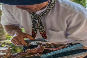 Desde Buenos Aires: El Ombú de Areco con traslado