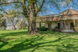 Desde Buenos Aires: El Ombú de Areco con traslado