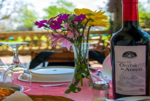 Desde Buenos Aires: El Ombú de Areco con traslado