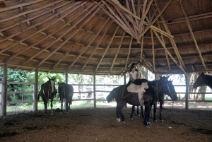 De Buenos Aires: Excursão à Estância Don Silvano com almoço.