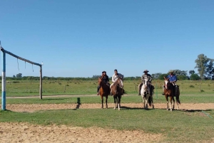 De Buenos Aires: Excursão à Estância Don Silvano com almoço.