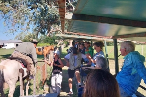 De Buenos Aires: Excursão à Estância Don Silvano com almoço.