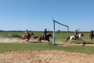 De Buenos Aires: Excursão à Estância Don Silvano com almoço.