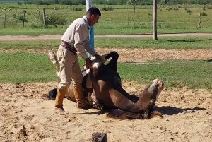 De Buenos Aires: Excursão à Estância Don Silvano com almoço.