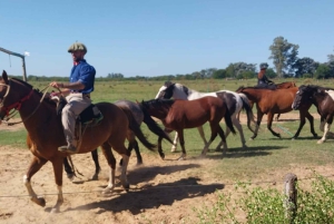 De Buenos Aires: Excursão à Estância Don Silvano com almoço.