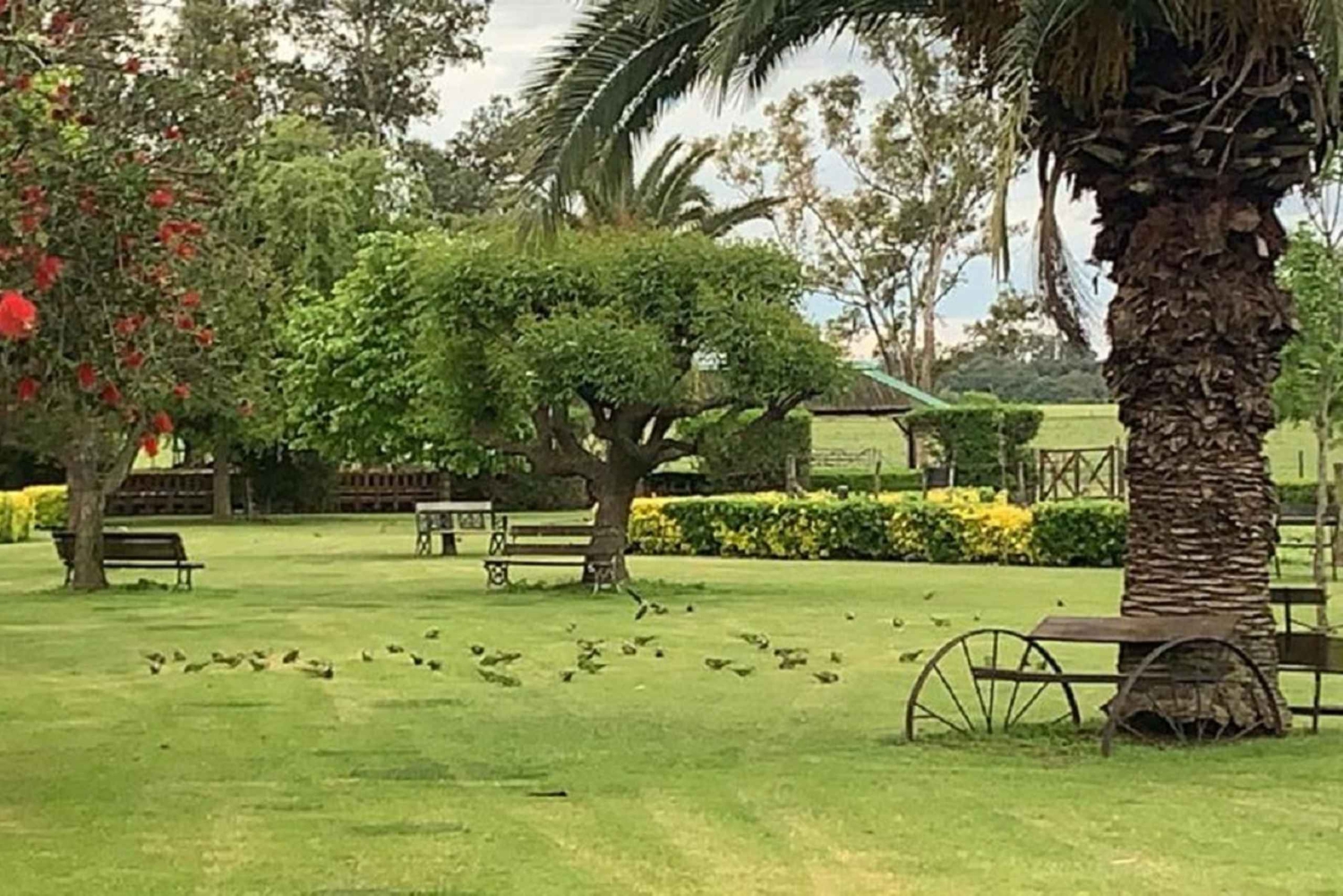 Fra Buenos Aires: Heldags Gaucho-kulturtur med lunsj