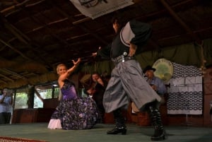 Fra Buenos Aires: Gaucho Cultural Tour med frokost