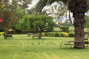 Fra Buenos Aires: Heldags Gaucho-kulturtur med lunsj