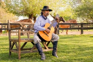 Vanuit Buenos Aires: Gaucho en ranch dagtour