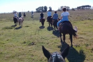 Z Buenos Aires: Gaucho i jednodniowa wycieczka na ranczo