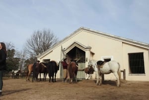 Da Buenos Aires: Tour di un giorno tra gaucho e ranch